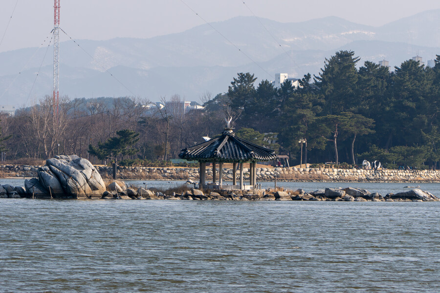 뒤늦게 올리는 강릉 탐조_26.jpg