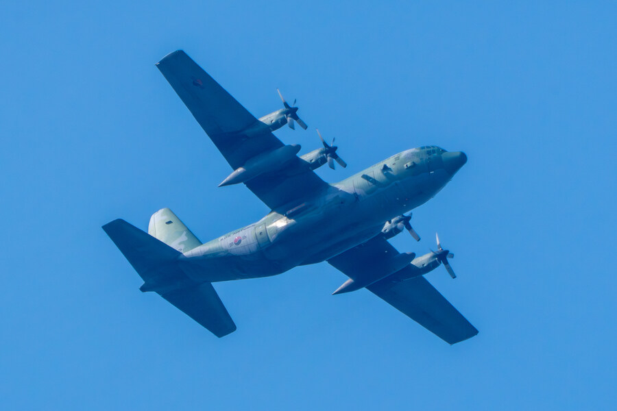 뒤늦게 올리는 강릉 탐조_62.jpg