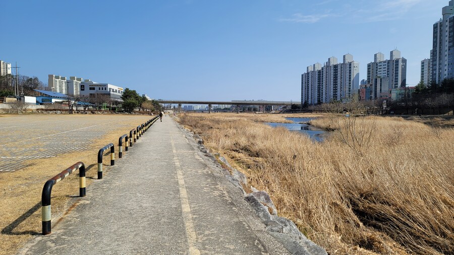 뒤늦게 올리는 강릉 탐조_65.jpg