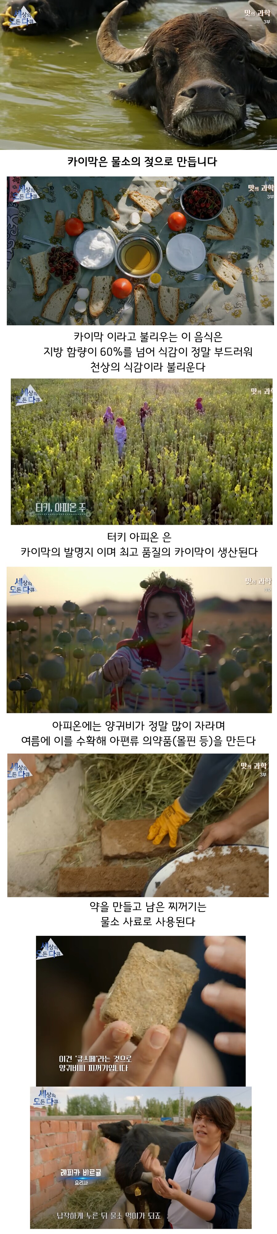 터키 사람들이 신의 음식이라고 하는 것. jpg