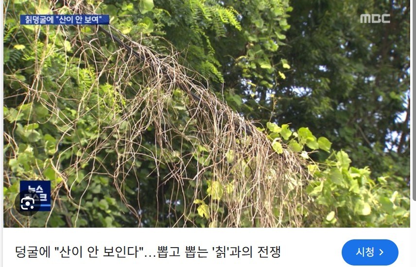??? : 칡? 해외에선 문제지만 한국에서 별거 아닌 놈이라고 ㅋㅋ_4.jpg
