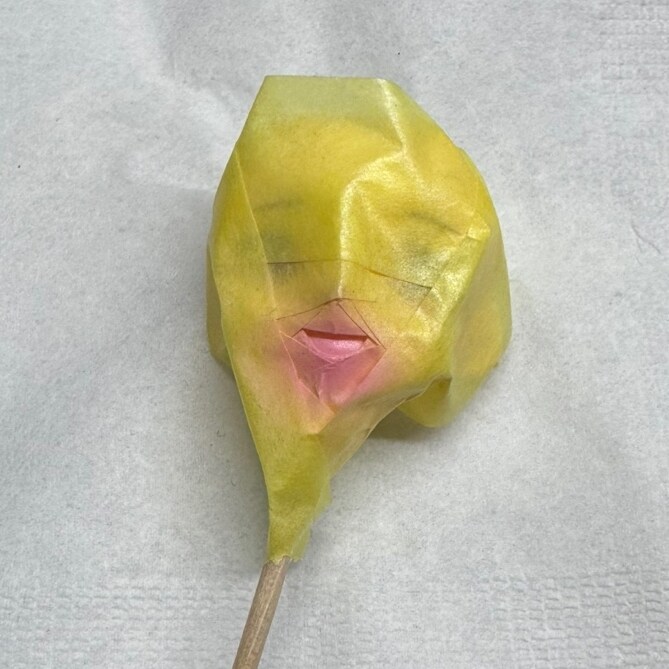 유치원을 졸업한 가우르 구라_17.jpg