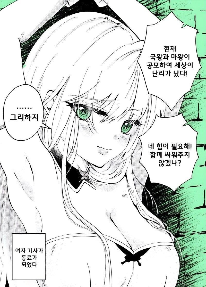 나라 제일의 실력을 가진 여기사를 동료로 만드는.manga_4.jpg