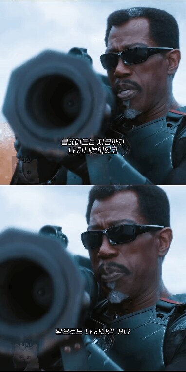 예언에 성공한 웨슬리 스나입스