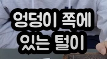 유튜브) 진짜 앞에서 말문이 막힌 곤충애호가_2.png