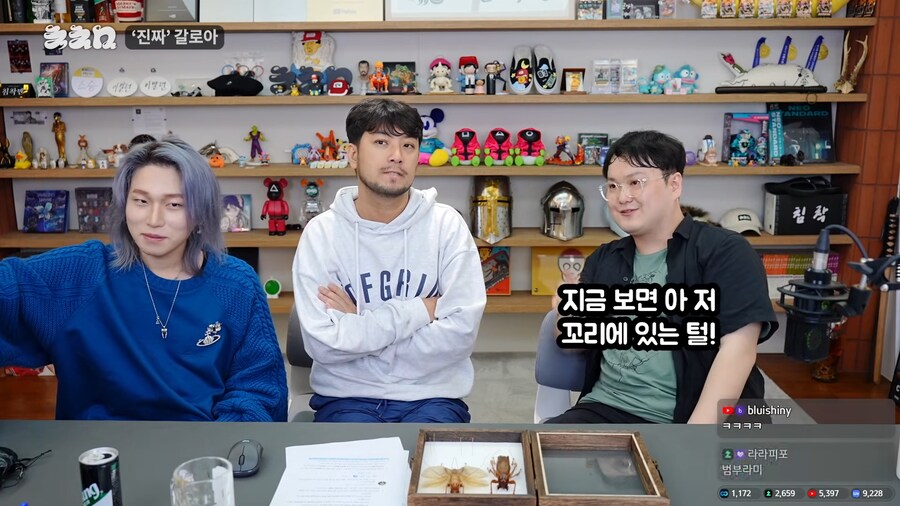 유튜브) 진짜 앞에서 말문이 막힌 곤충애호가_37.png