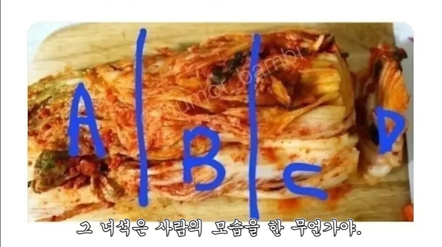 한국인도 서로 이해 못하는 김치 취향_4.png