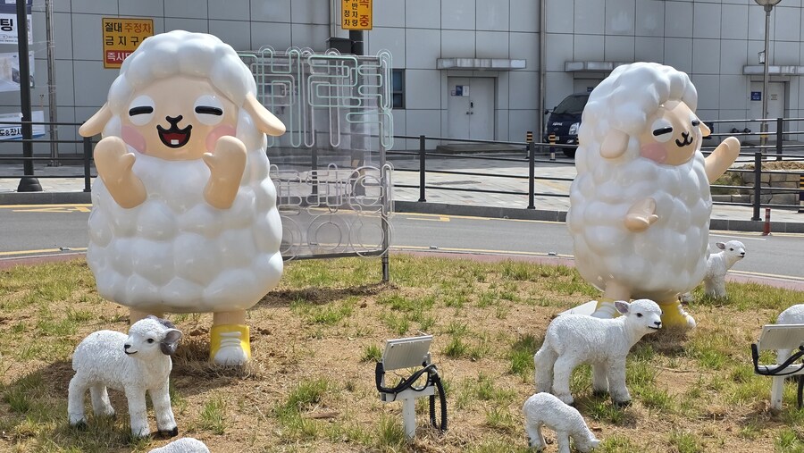 [경기] 정치인이 알려준 양평 덕질 스팟! 경기도 양평군 덕질 여행!_5.jpg