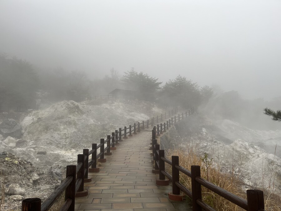 일본여행 1달 - 마트표음식 투어 (스크롤 주의)_18.jpg