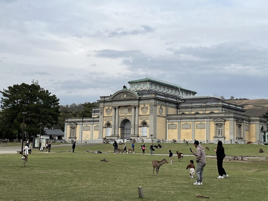 일본여행 - 오사카 ,시즈오카 후지산_10.jpg