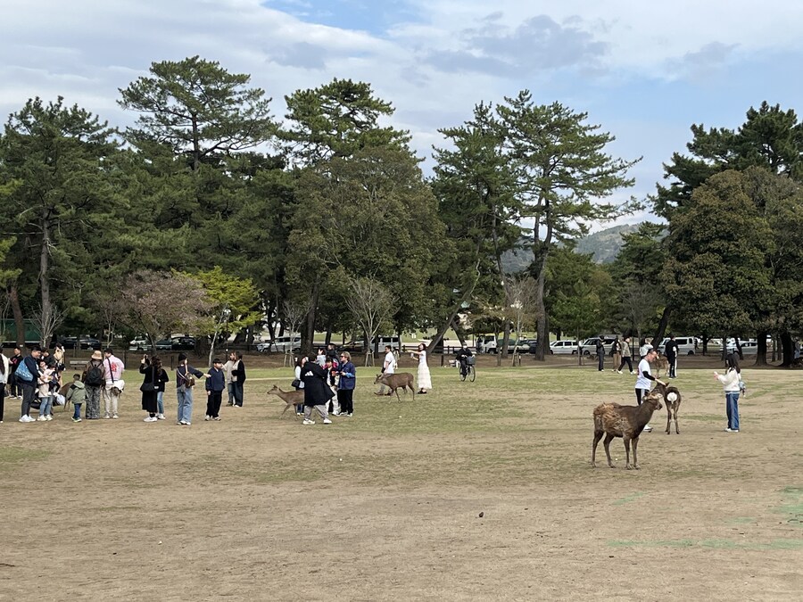 일본여행 - 오사카 ,시즈오카 후지산_7.jpg