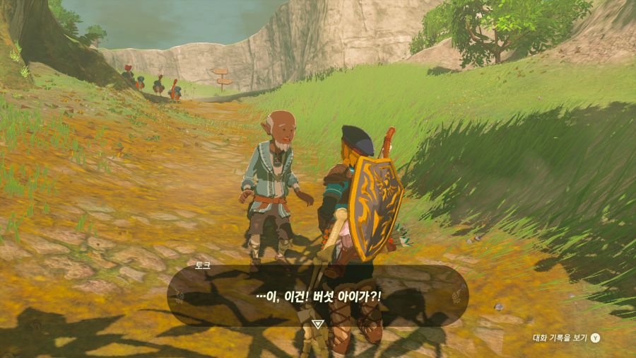 젤다의 전설 티어즈 오브 더 킹덤_4.png