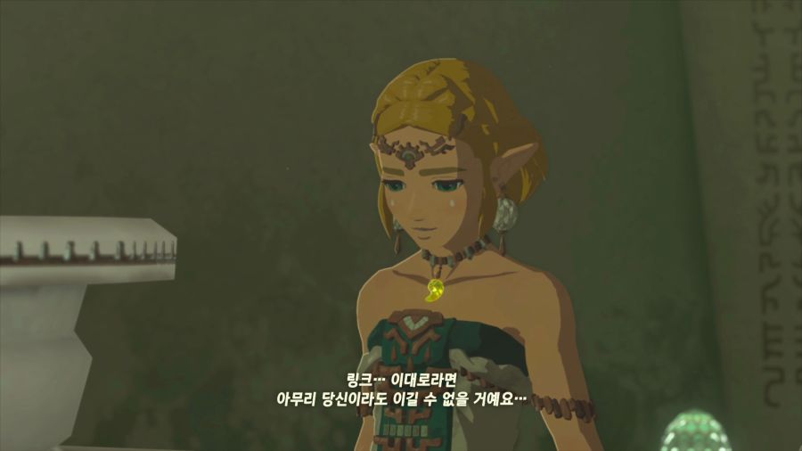 젤다의 전설 티어즈 오브 더 킹덤_14.png