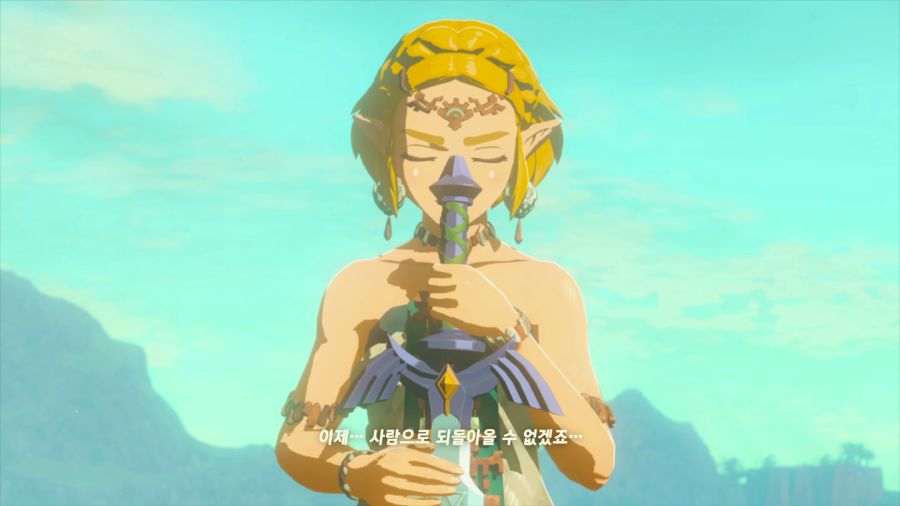 젤다의 전설 티어즈 오브 더 킹덤_24.png