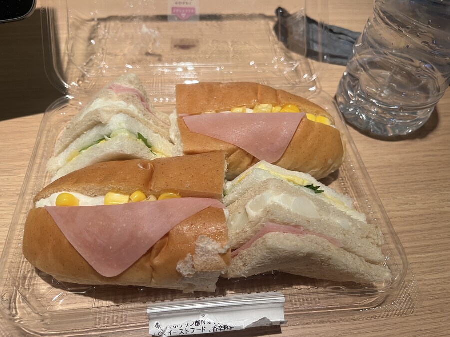 일본여행 - 오사카 ,시즈오카 후지산_44.jpg