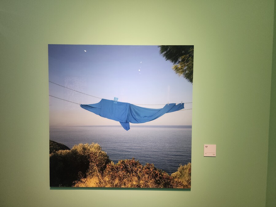 새벽이니 돌고래짤 달린다_1.jpg