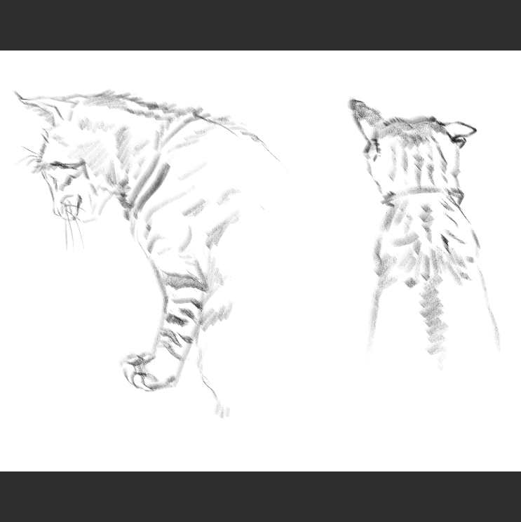 우리집 고양이그림 보고가셈_2.png