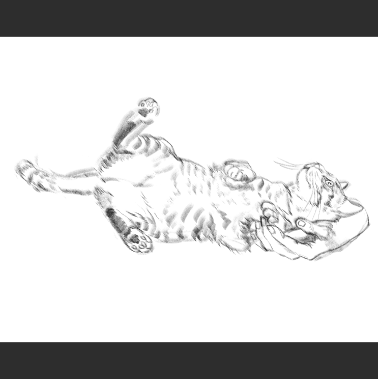 우리집 고양이그림 보고가셈_6.png