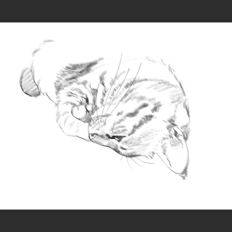 우리집 고양이그림 보고가셈_8.png