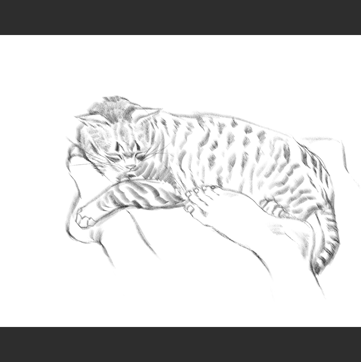 우리집 고양이그림 보고가셈_9.png