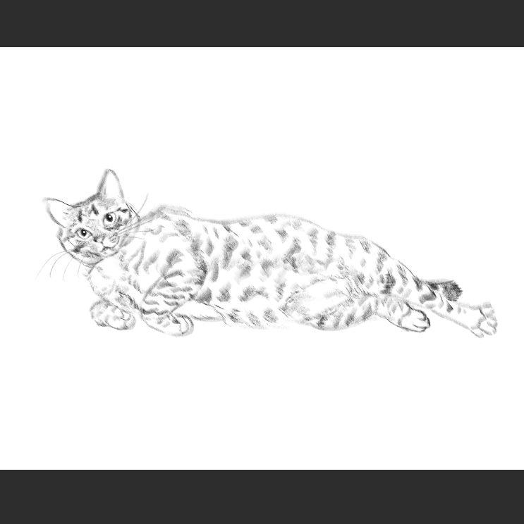 우리집 고양이그림 보고가셈 (feat.키우지마)_8.png