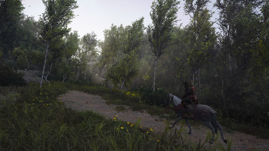 Assassin's Creed® Shadows_13.jpg