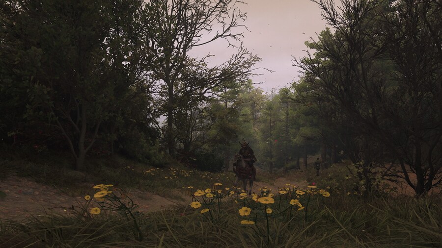 Assassin's Creed® Shadows_16.jpg