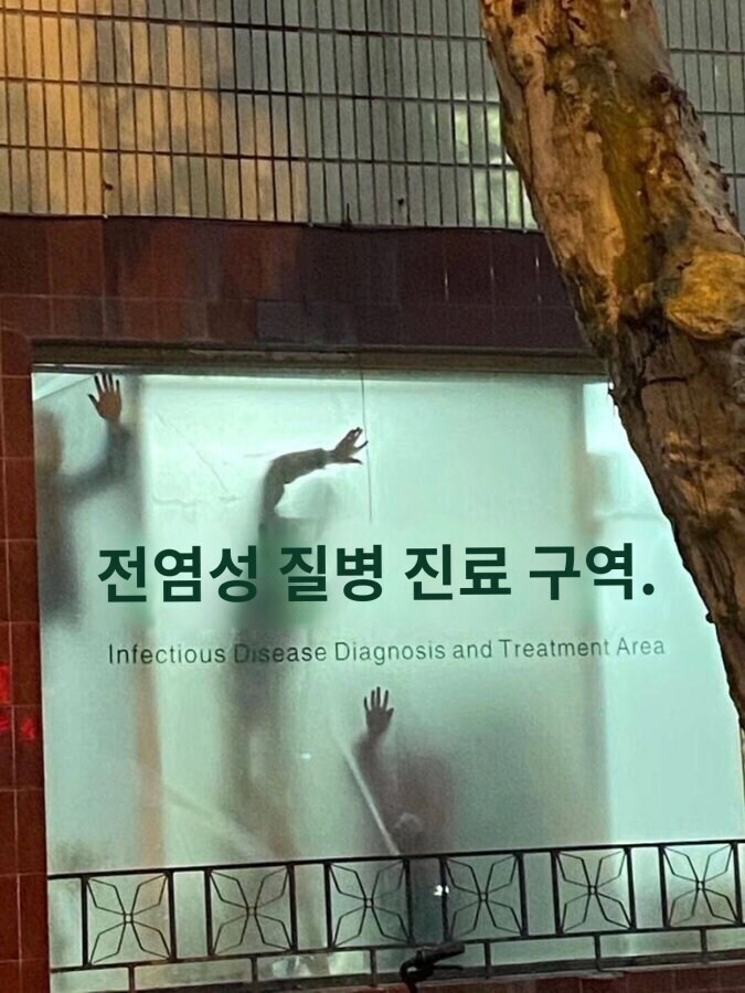 최근 심상치 않다는 중국 전염병 격리 치료 센터 근황 jpg_1.jpg