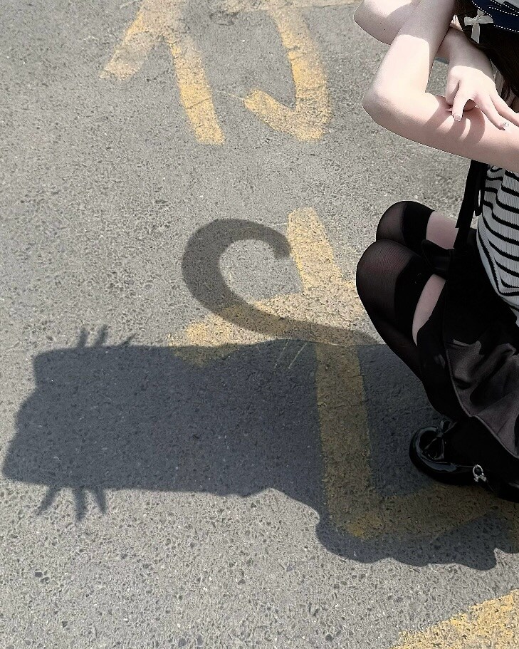 고양이 그림자샷 모음..._5.jpg