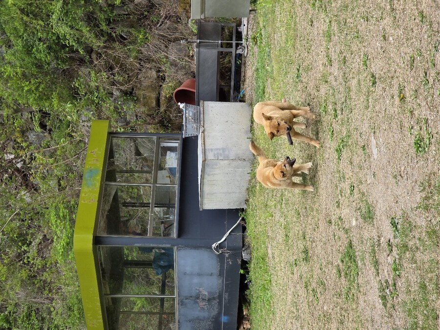 훌쩍 커버린 아가들 또 보고 왔습니다!_2.jpg