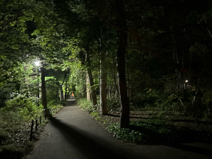 평소에 안가본 길로 산책나왔는데_1.jpg