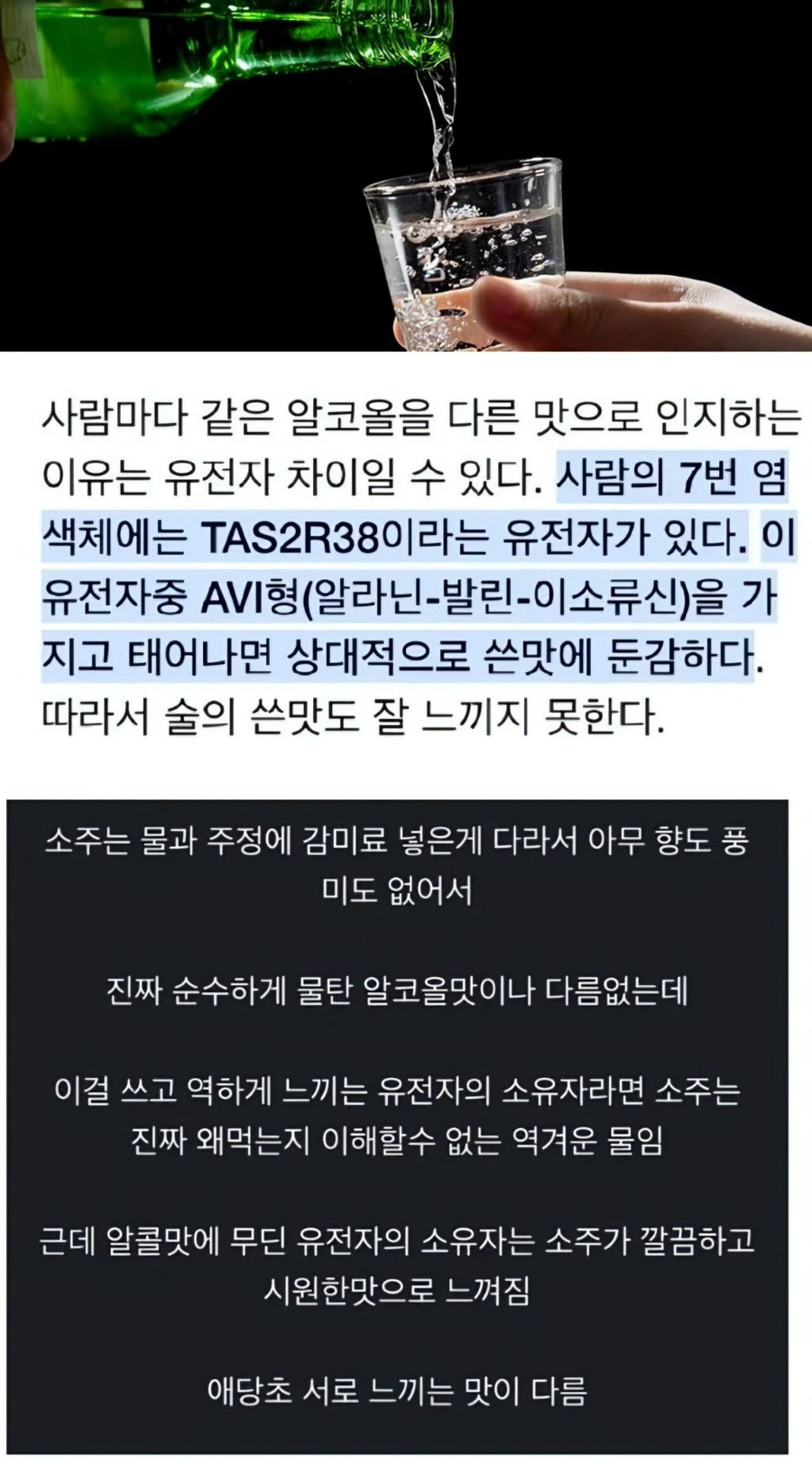 희석식 소주 유전자 베글에 잠시 알고가면 좋은 점 하나_1.webp