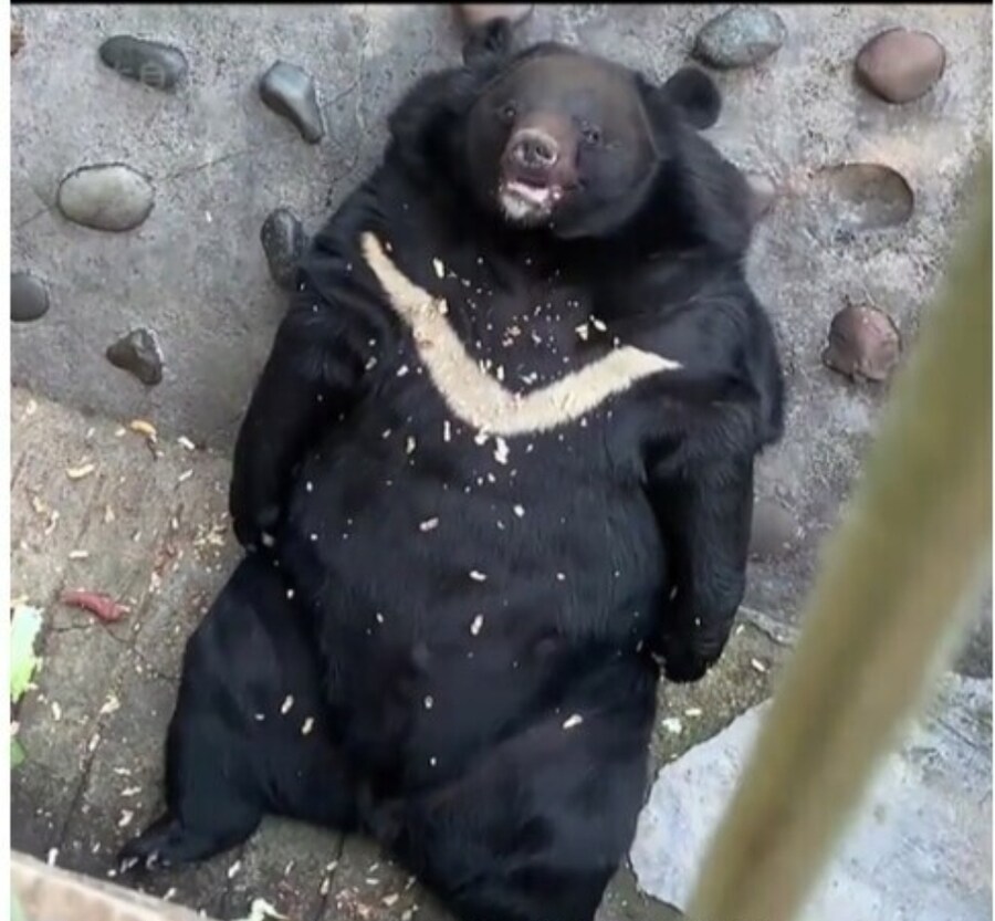 오늘 헬스장에서 턱걸이 하나 못한다고 꼽주는 피티 봣는데_1.jpg