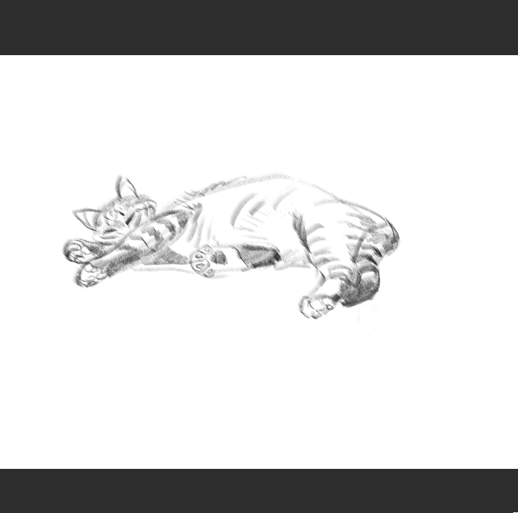 우리집 고양이그림 보고가셈_6.png