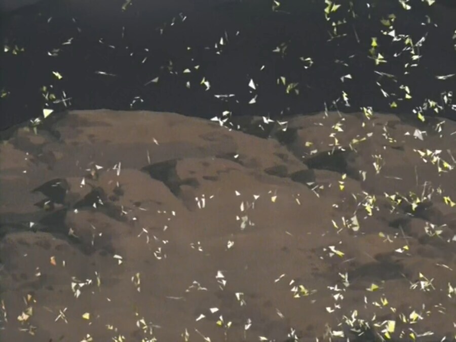 [유희왕 GX]역시 쇼레기_25.png