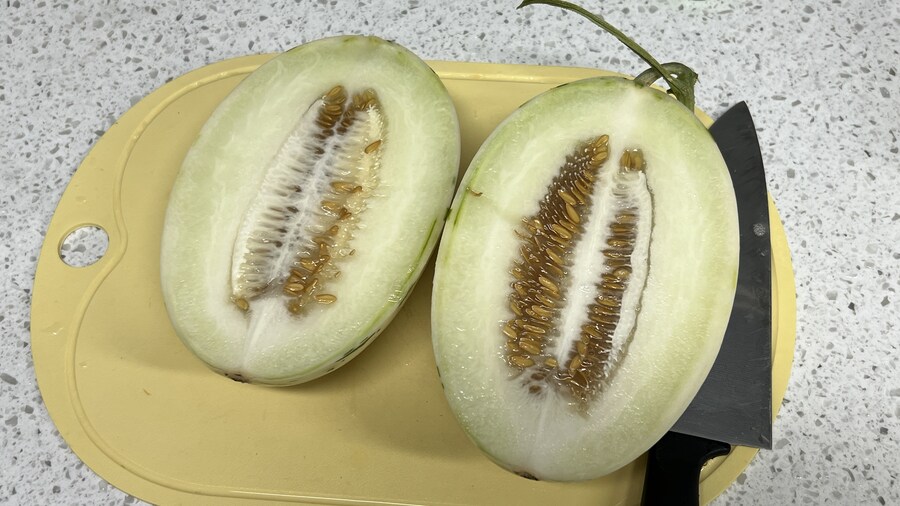 연휴 동안 먹고 마시고 즐기고... (※스압 & 데이터)_13.jpg