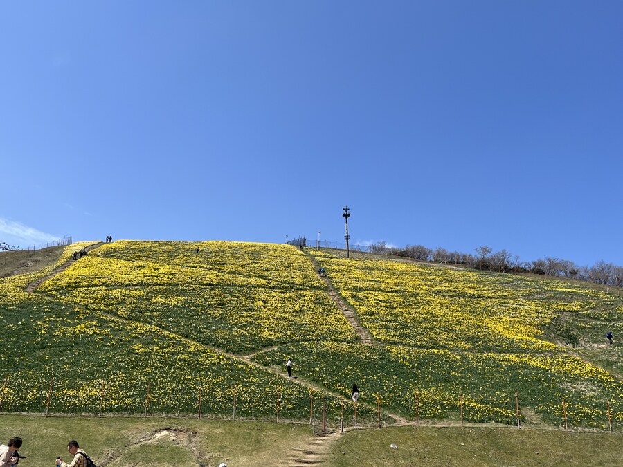 일본여행 - 비와호_15.jpg