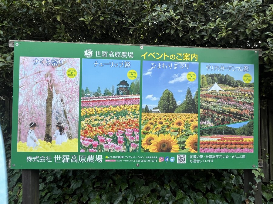 일본여행 - 세라 고원 농장, 한국 복귀_21.jpg