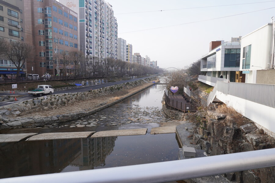 뒤늦게 올리는 3월 화성호 탐조_1.jpg