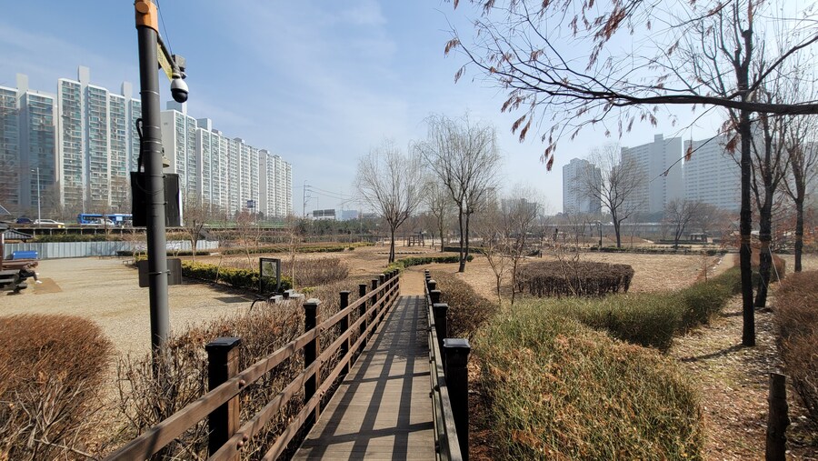 뒤늦게 올리는 3월 화성호 탐조_14.jpg