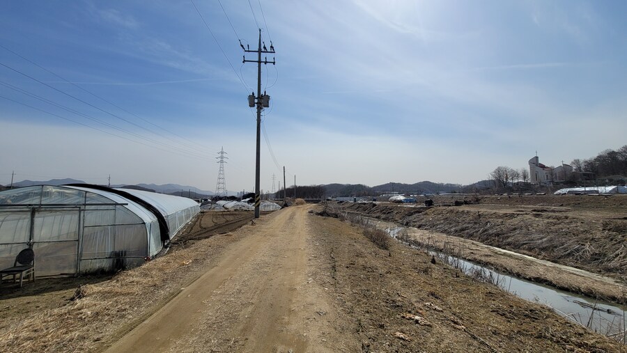 뒤늦게 올리는 3월 화성호 탐조_31.jpg