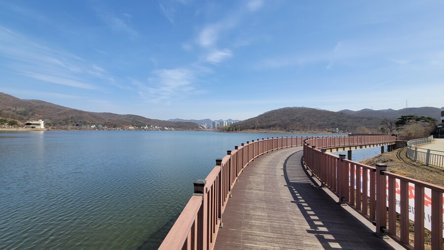 뒤늦게 올리는 3월 화성호 탐조_34.jpg