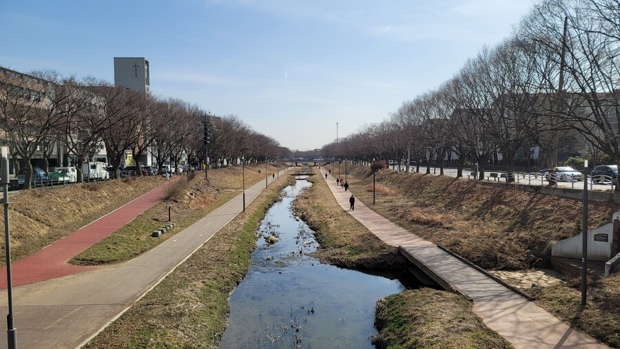 뒤늦게 올리는 3월 화성호 탐조_37.jpg