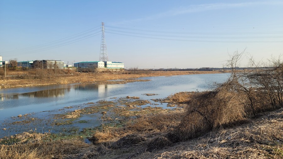 뒤늦게 올리는 3월 화성호 탐조_43.jpg