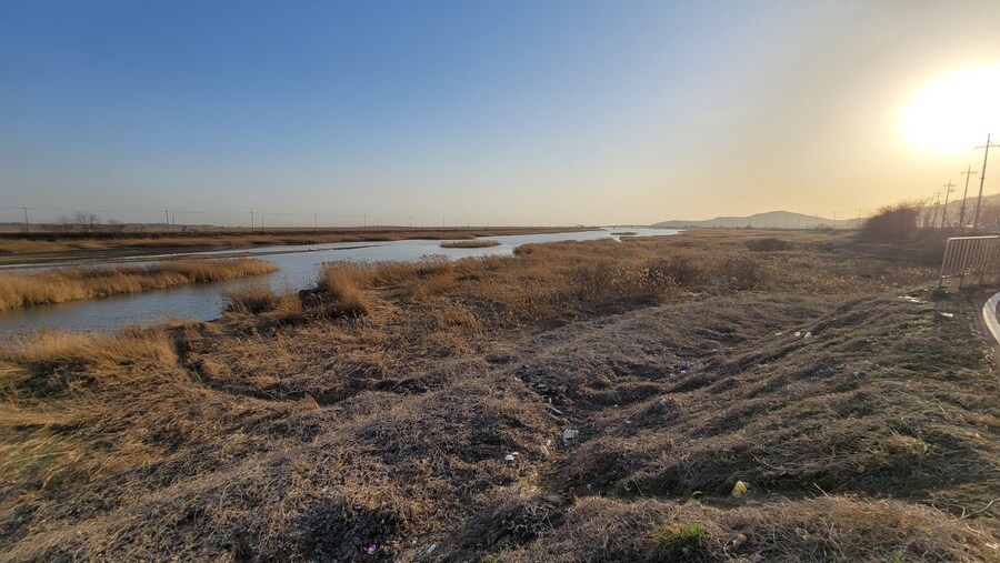 뒤늦게 올리는 3월 화성호 탐조_50.jpg