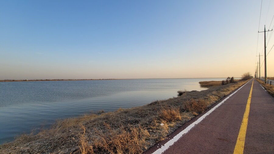 뒤늦게 올리는 3월 화성호 탐조_55.jpg