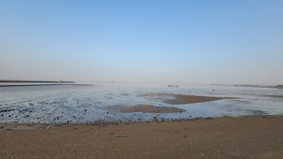 뒤늦게 올리는 3월 화성호 탐조_64.jpg