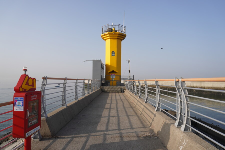 뒤늦게 올리는 3월 화성호 탐조_73.jpg