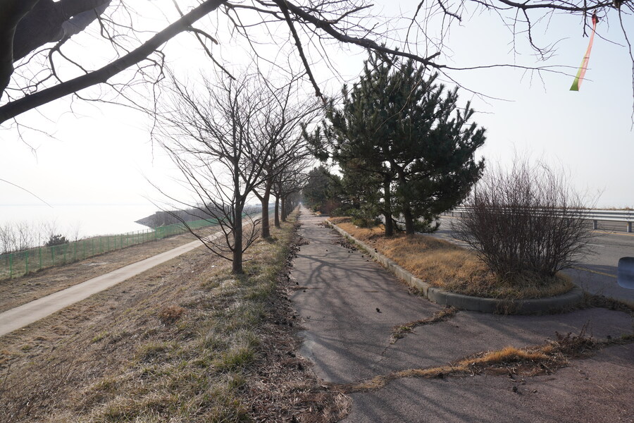 뒤늦게 올리는 3월 화성호 탐조_84.jpg