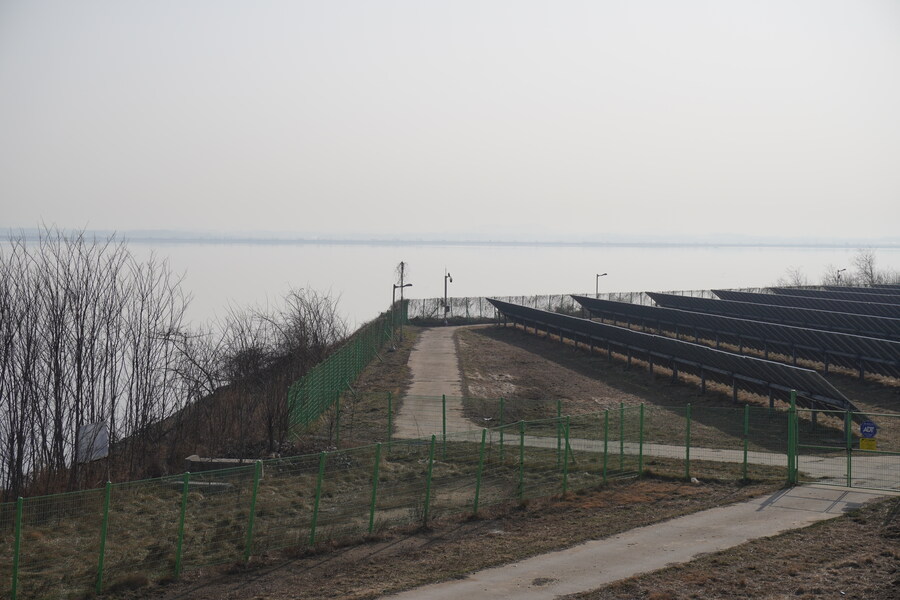 뒤늦게 올리는 3월 화성호 탐조_86.jpg